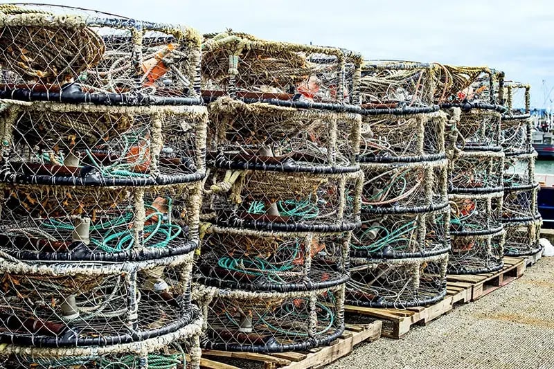 westport-crab-pots-800x533