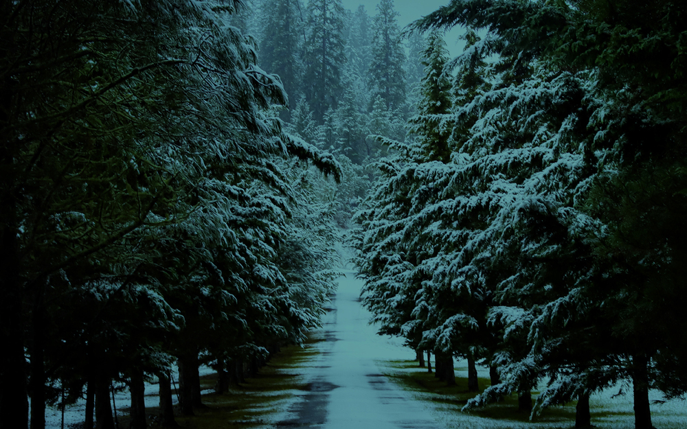 C3_2025_HOLIDAY_Graphics 1000x625